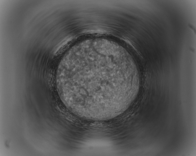 X0000100470967200807031823