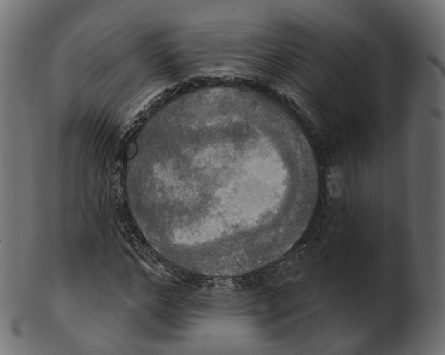 X0000100470968200807031823