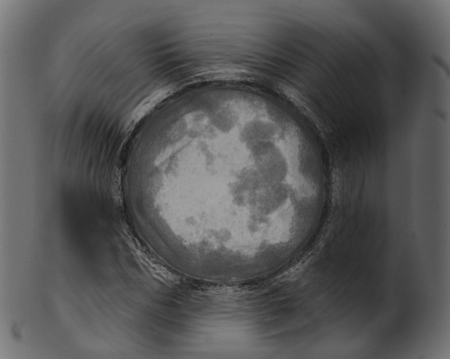 X0000100470970200807031823