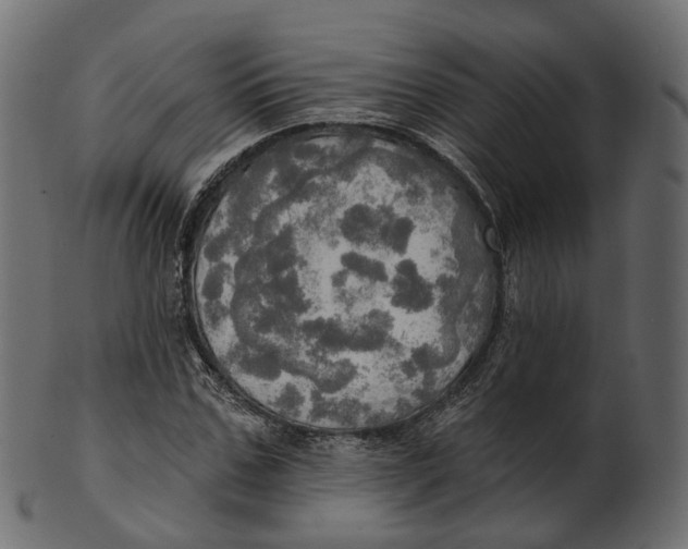 X0000100470971200807031823