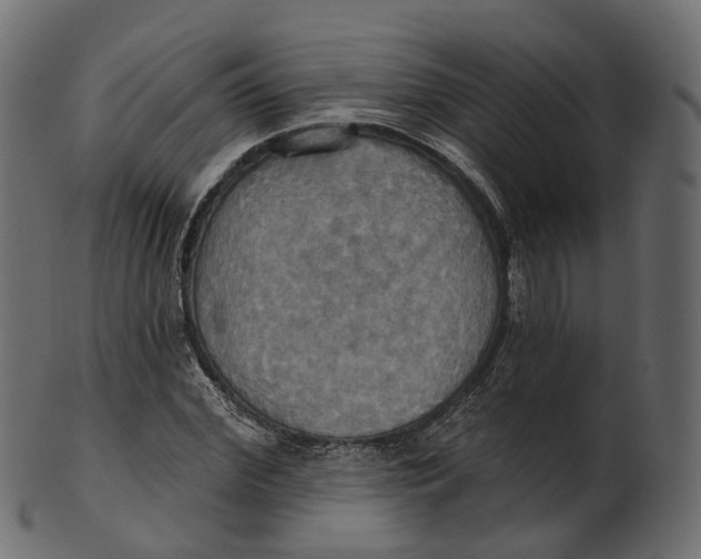 X0000100470972200807031823