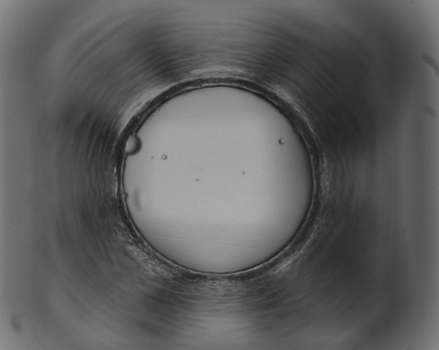 X0000100470973200807031823