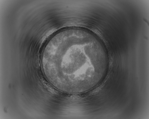 X0000100470974200807031823