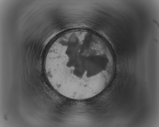 X0000100470975200807031823