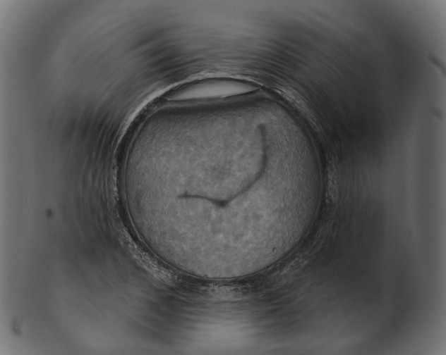 X0000100470976200807031823