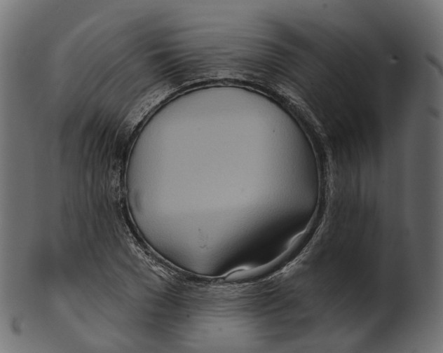 X0000100470977200807031823