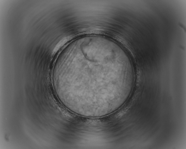 X0000100470978200807031823