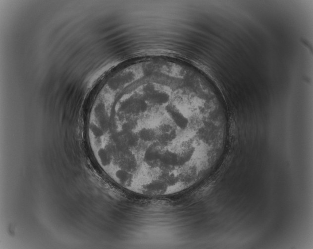 X0000100470979200807031823