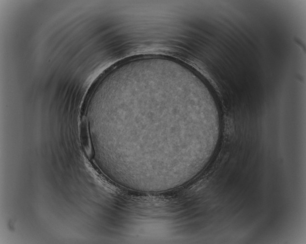 X0000100470980200807031823