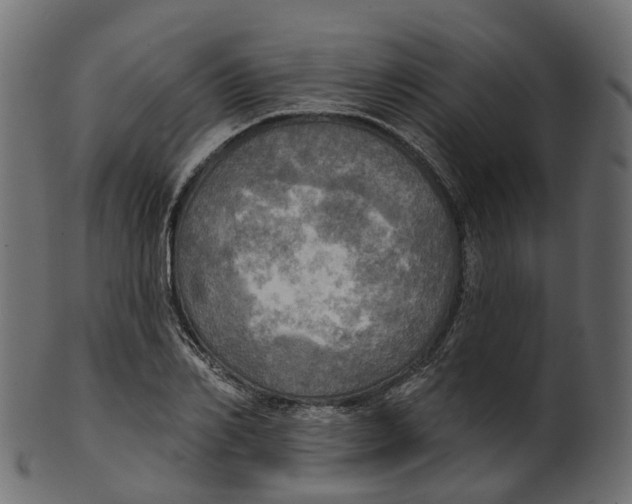 X0000100470982200807031823