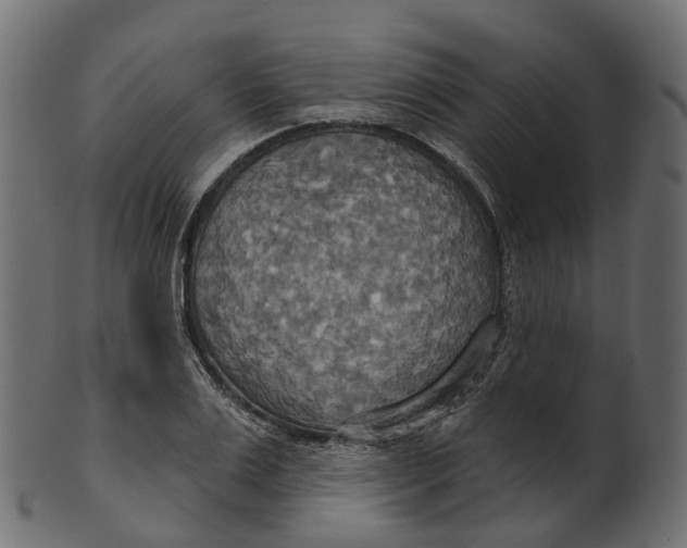 X0000100470983200807031823