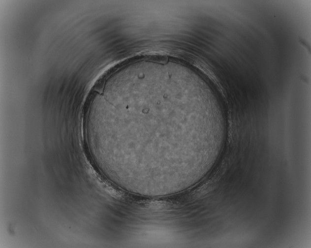 X0000100470984200807031823