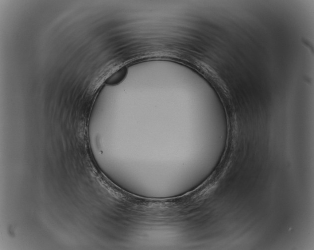 X0000100470985200807031823