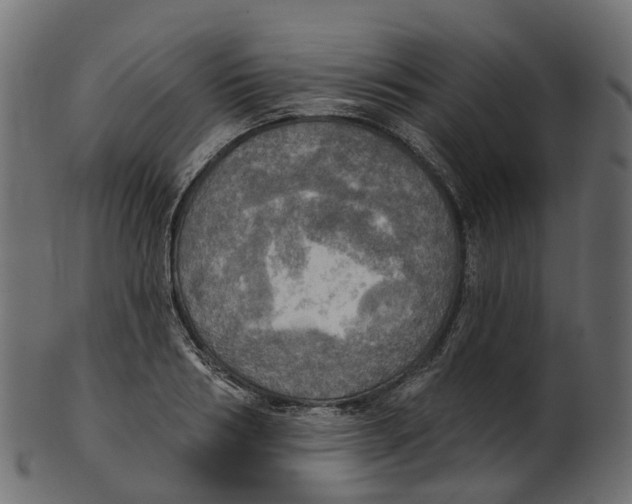 X0000100470986200807031823