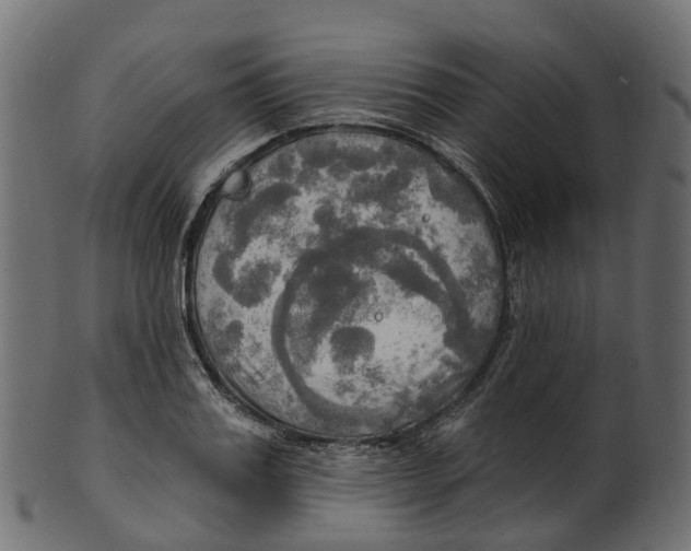 X0000100470987200807031823