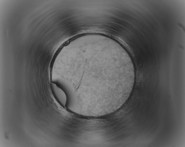 X0000100470988200807031823