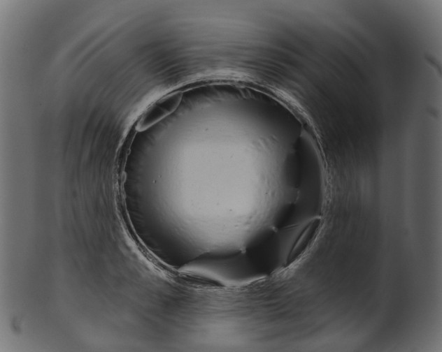 X0000100470989200807031823