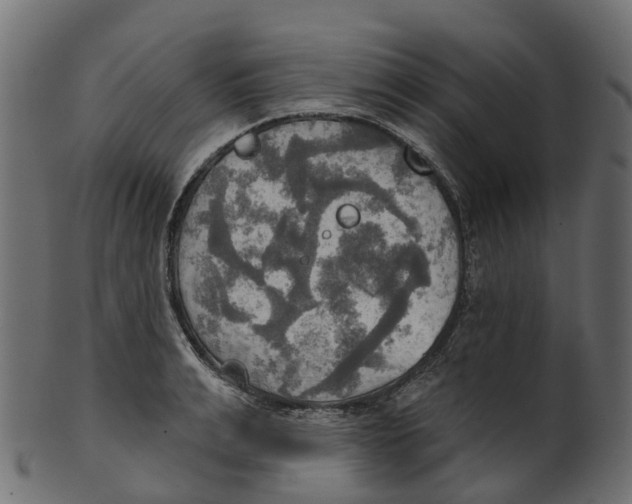 X0000100470991200807031823