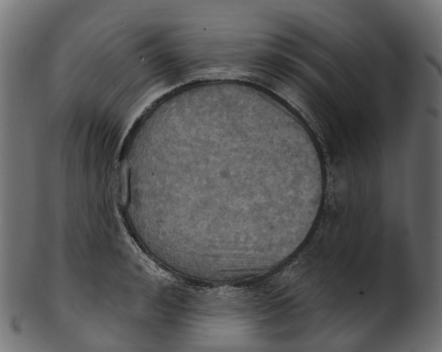 X0000100470992200807031823