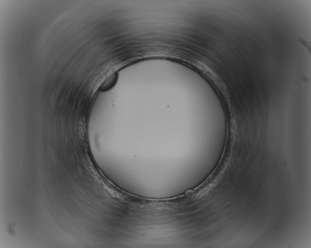 X0000100470993200807031823