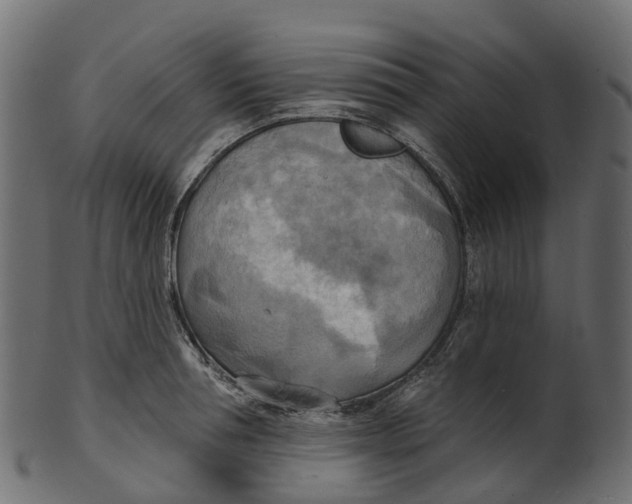 X0000100470994200807031823