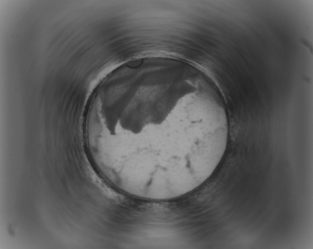 X0000100470995200807031823