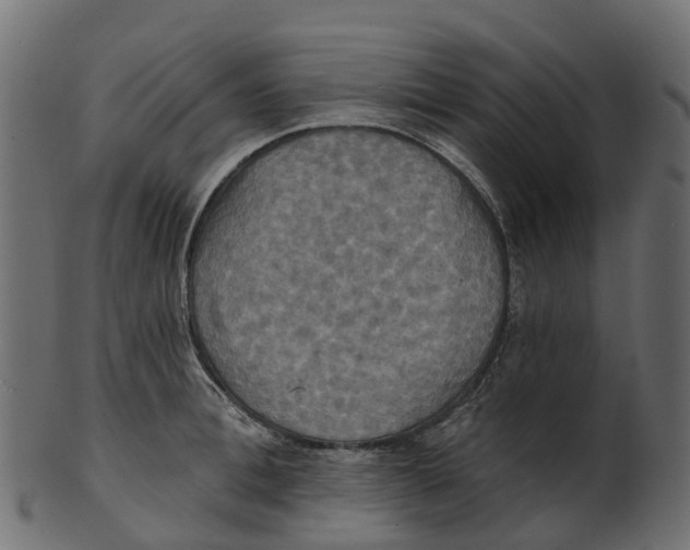 X0000100470996200807031823