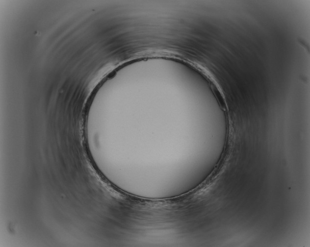 X0000100470997200807031823