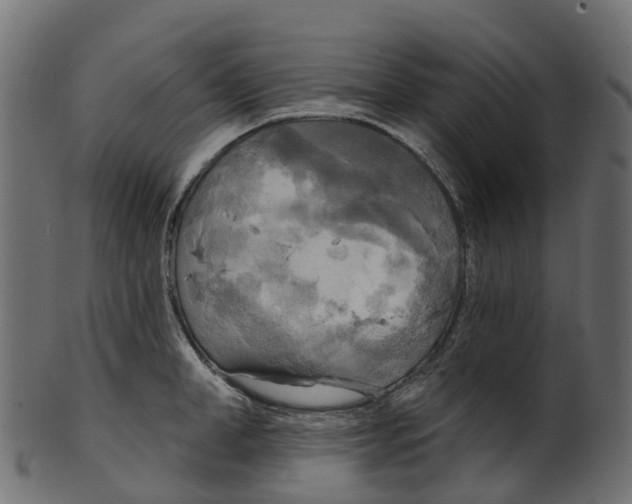 X0000100470998200807031823