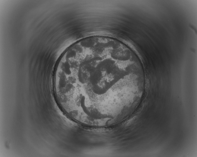 X0000100470999200807031823