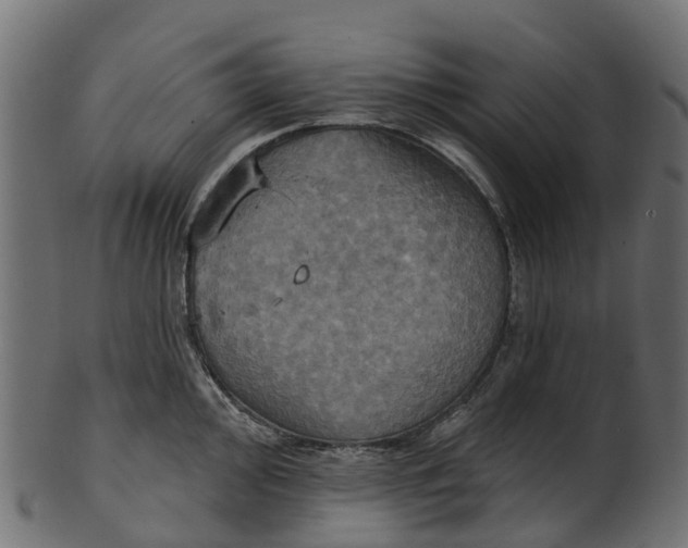 X0000100471000200807031823