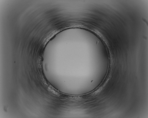 X0000100471001200807031823