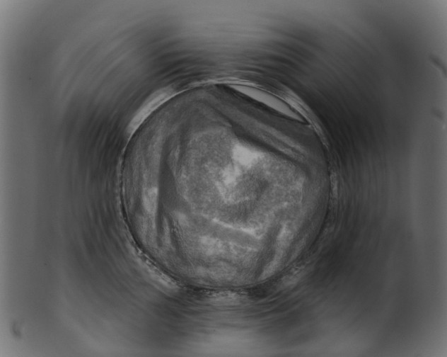 X0000100471002200807031823