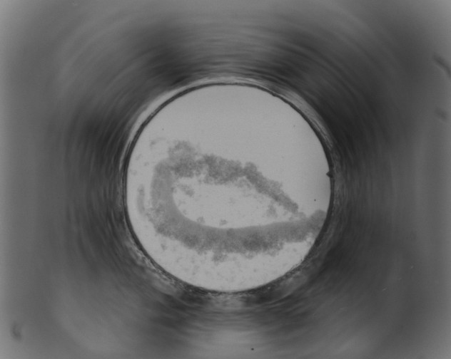 X0000100471004200807031823