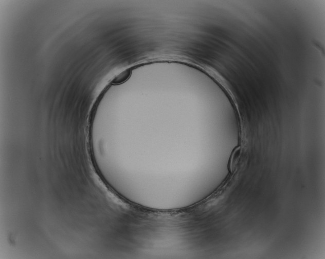 X0000100471005200807031823