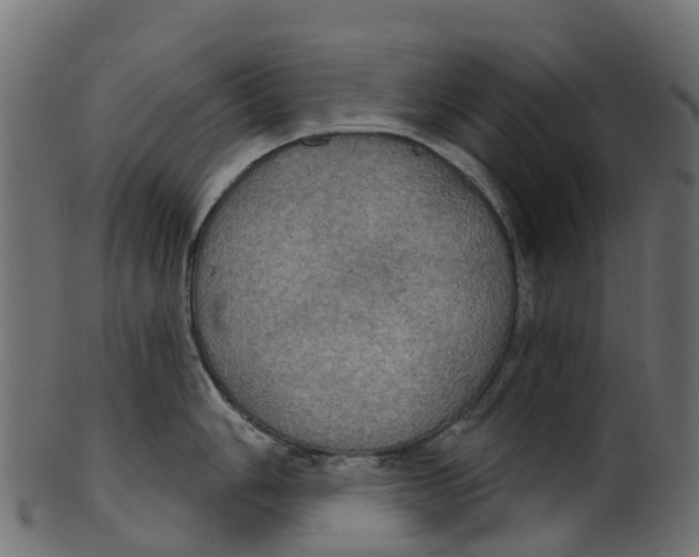 X0000100471006200807031823