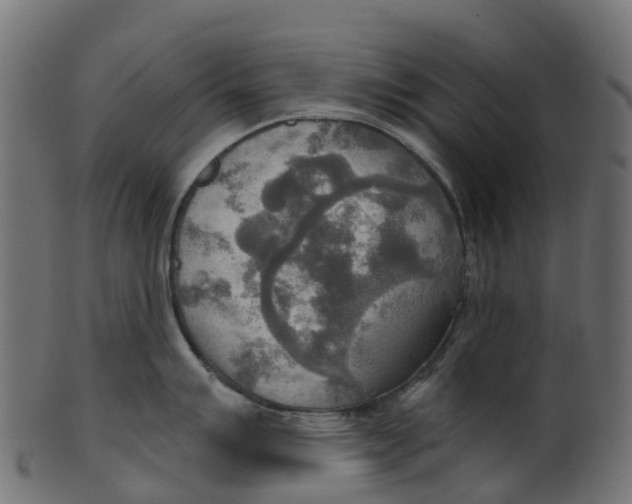 X0000100471007200807031823