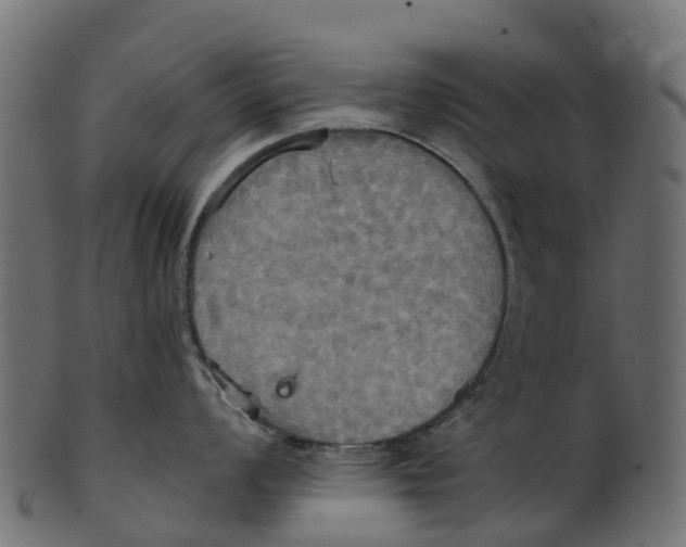 X0000100471008200807031823