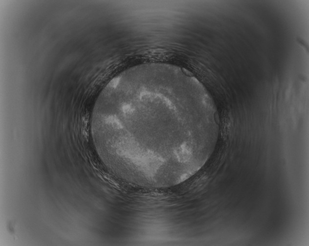 X0000100471010200807031822