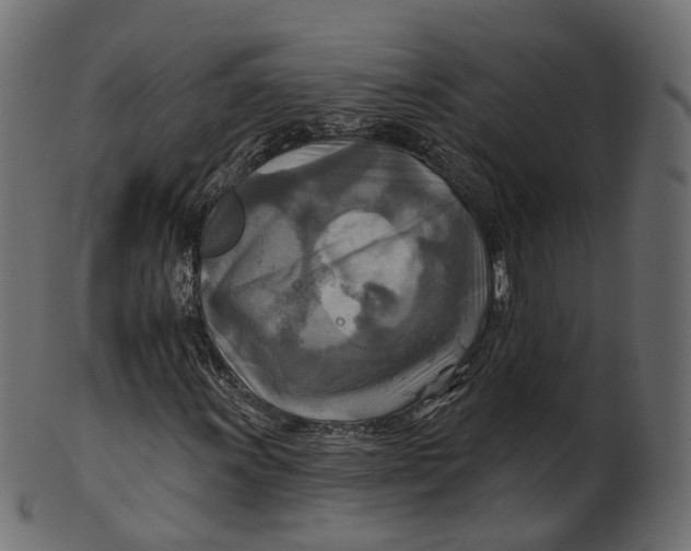 X0000100471011200807031822