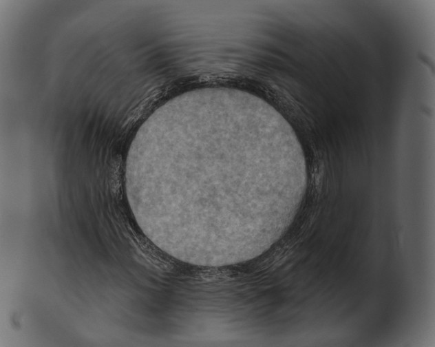 X0000100471012200807031822