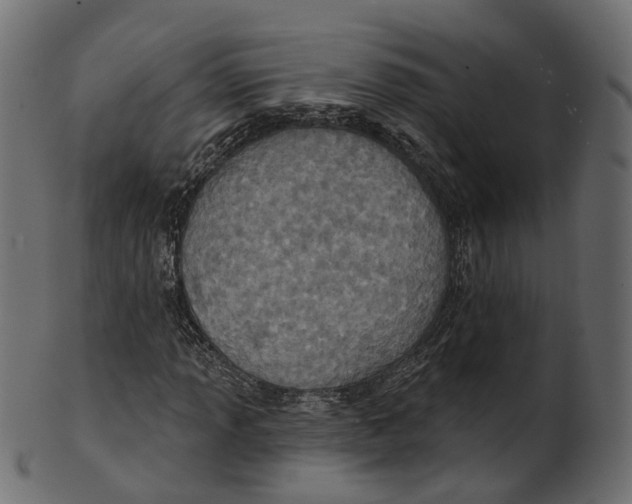 X0000100471013200807031822