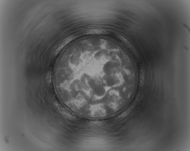 X0000100471017200807031822