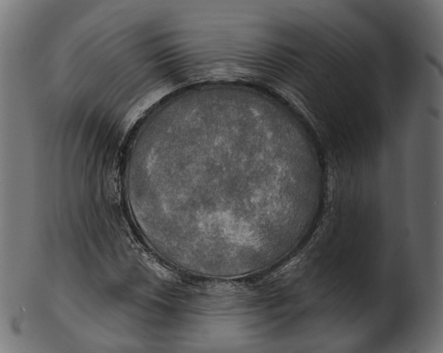 X0000100471018200807031822