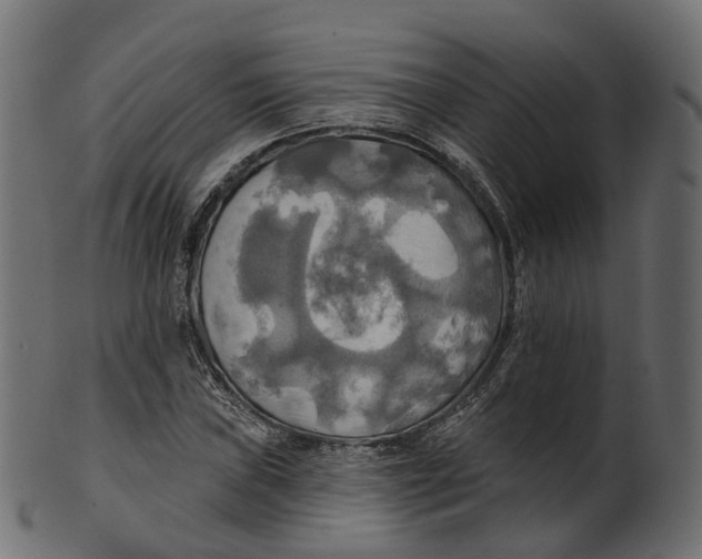 X0000100471019200807031822