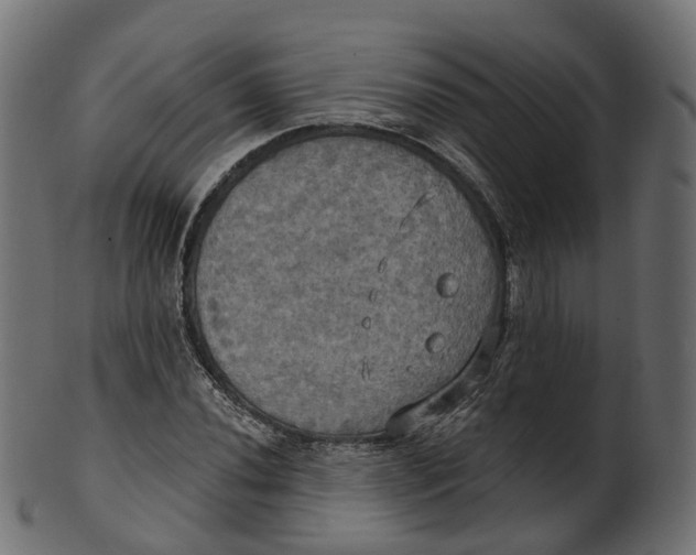 X0000100471020200807031822