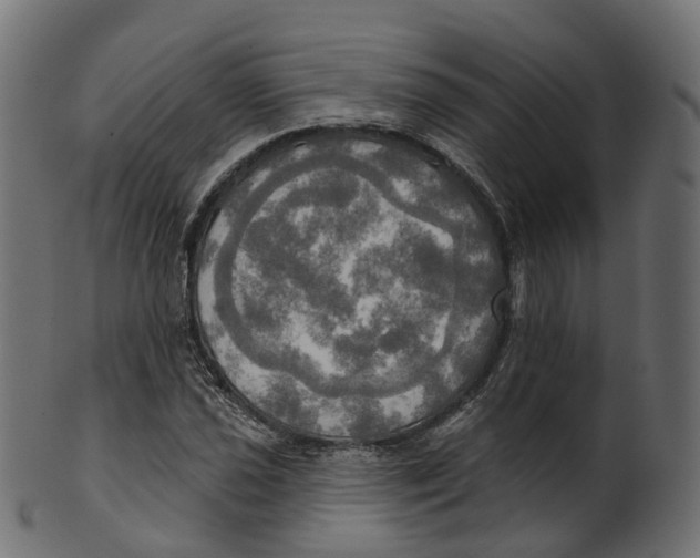 X0000100471021200807031822