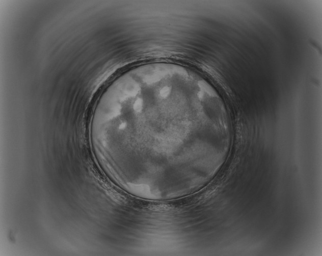 X0000100471023200807031822