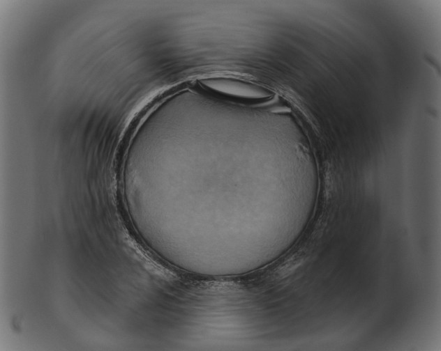 X0000100471024200807031822