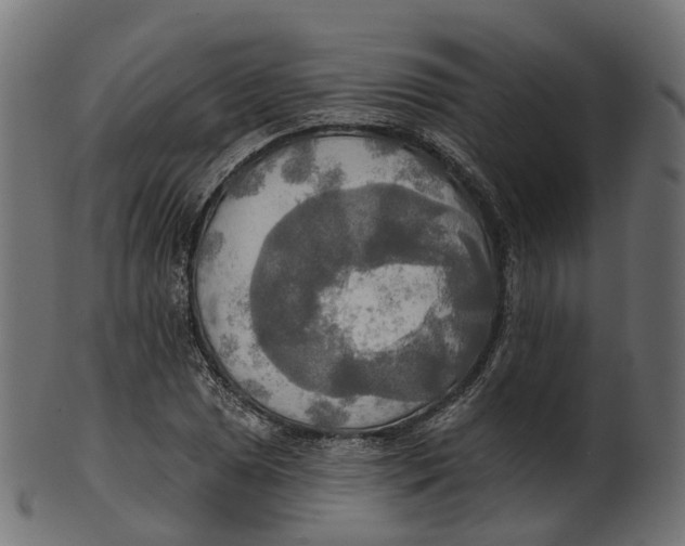 X0000100471025200807031822